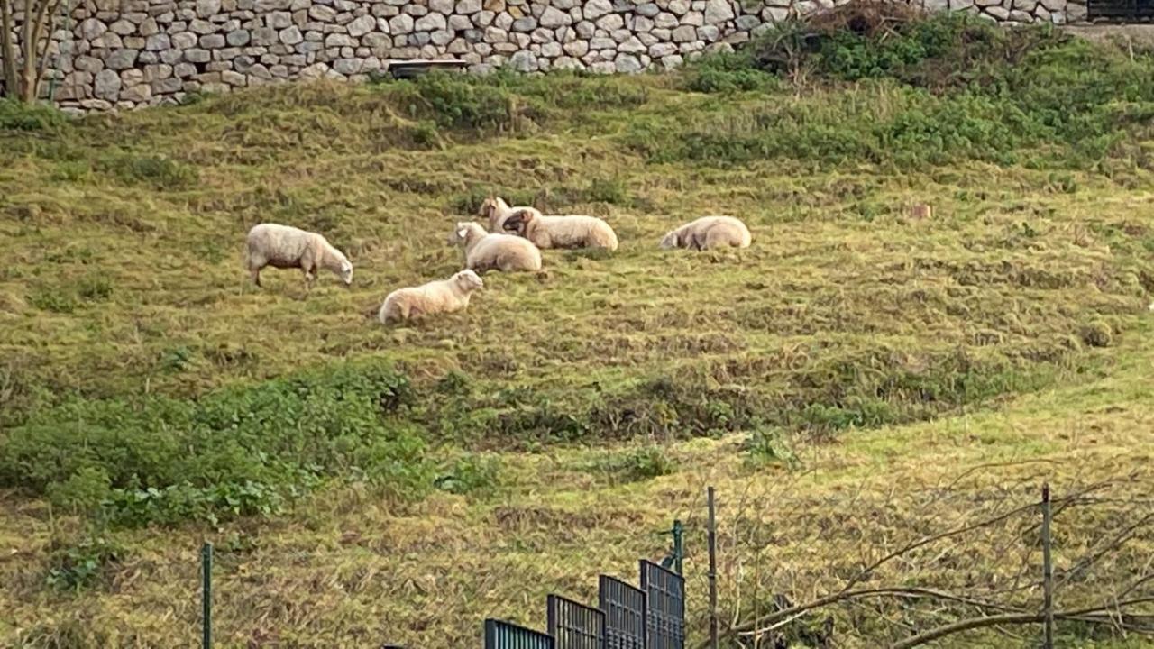La Casa De Fito Cerca Del Centro De Comillas Eksteriør bilde